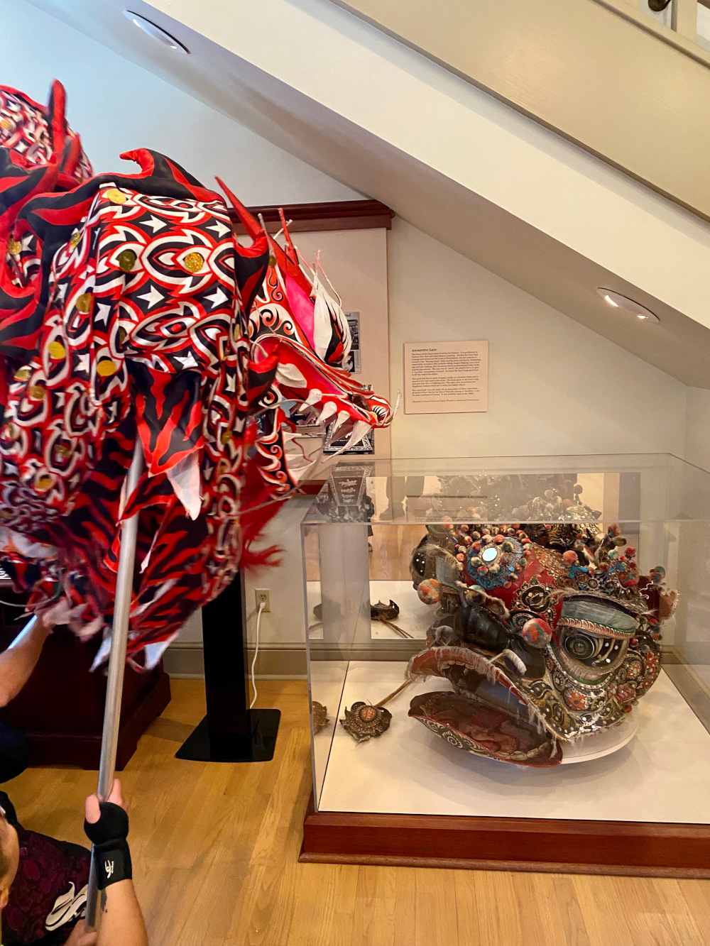 Rising Phoenix Dragon greets Lion Head Exhibit inside CAHM