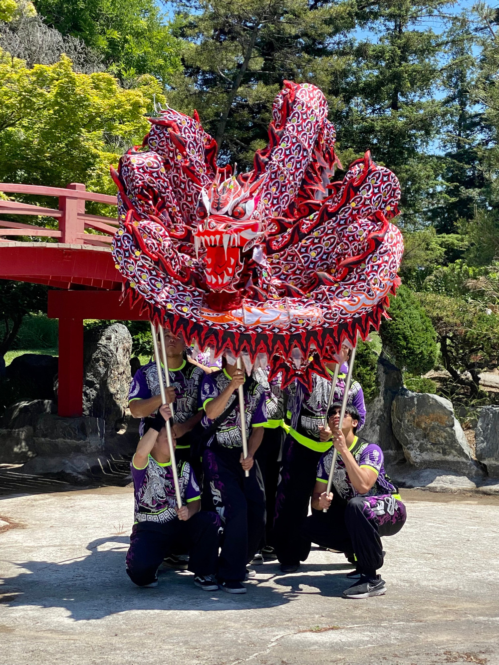 Rising Phoenix Dragon at Japanese Friendship Garden